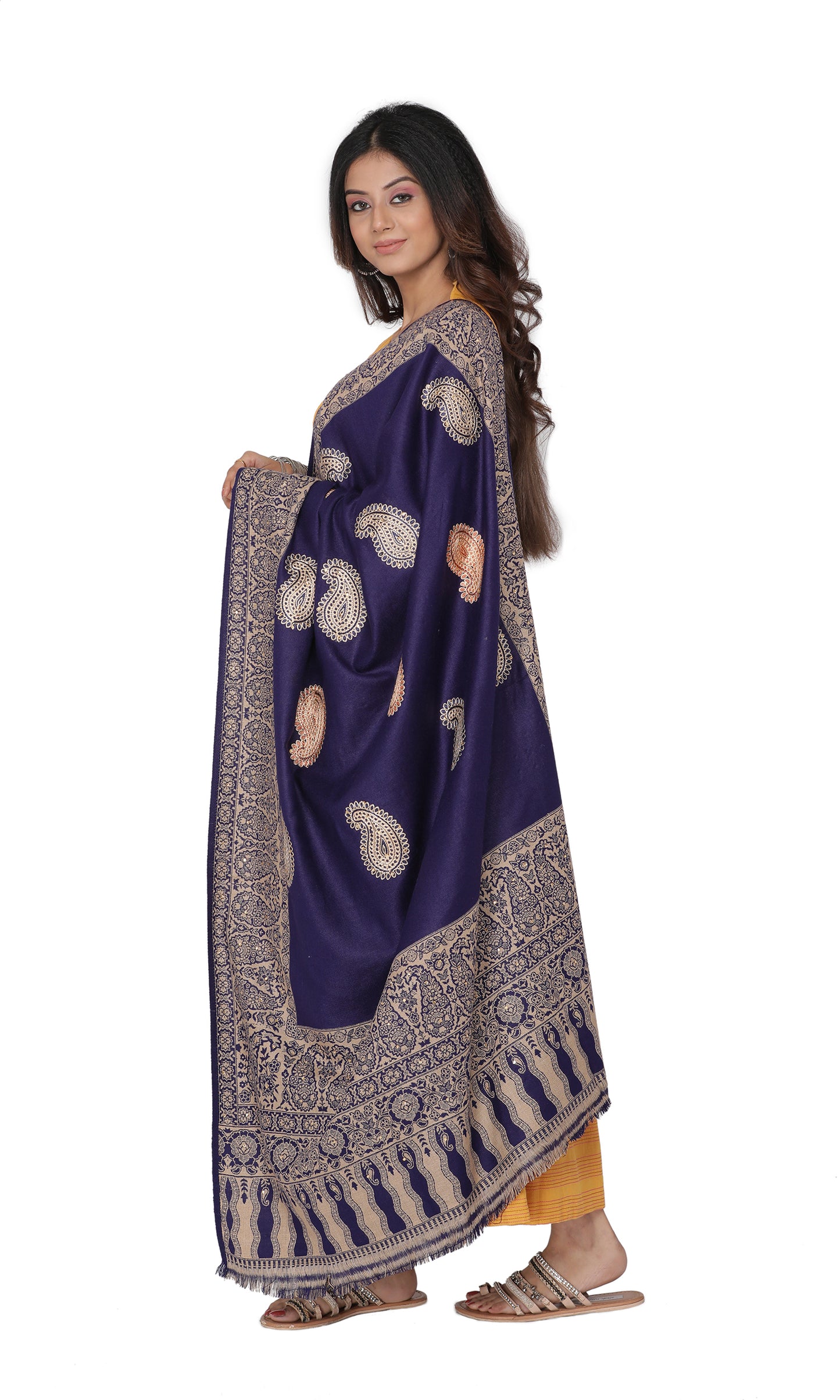 KRITI Paisley Border Design Woolen Navy Color Shawl For Women