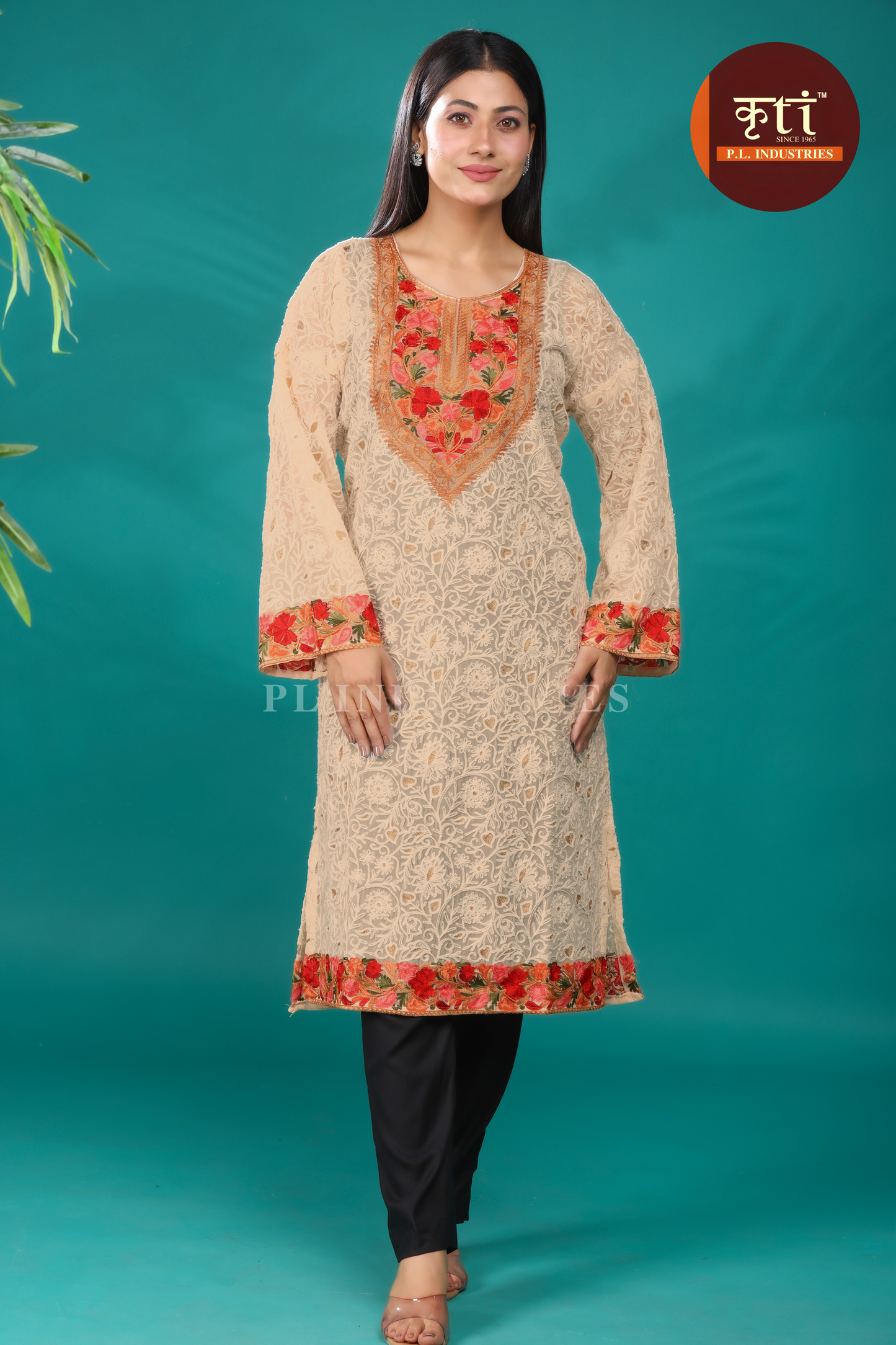 KRITI Kashmiri-Inspired Beige Georgette Kurti Floral Embroidery