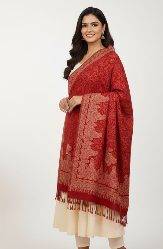 KRITI Paisley Pattern Woolen Maroon Color Stole For Girl