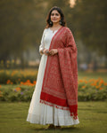 Kashmiri Paisley Printed Shawl - Maroon