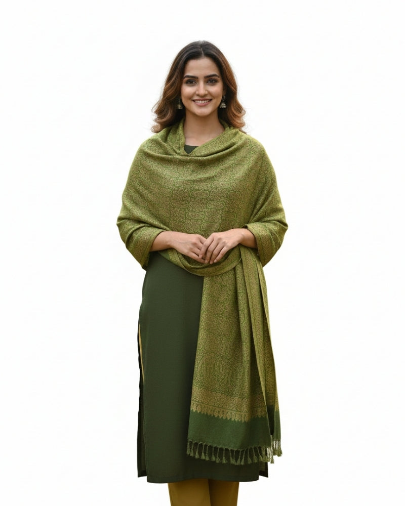 Kashmiri Paisley Printed Shawl - Green