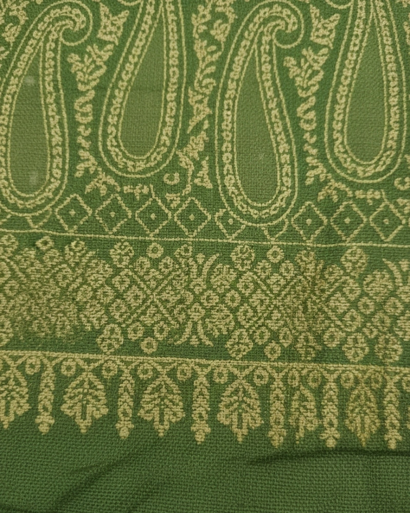 Kashmiri Paisley Printed Shawl - Green