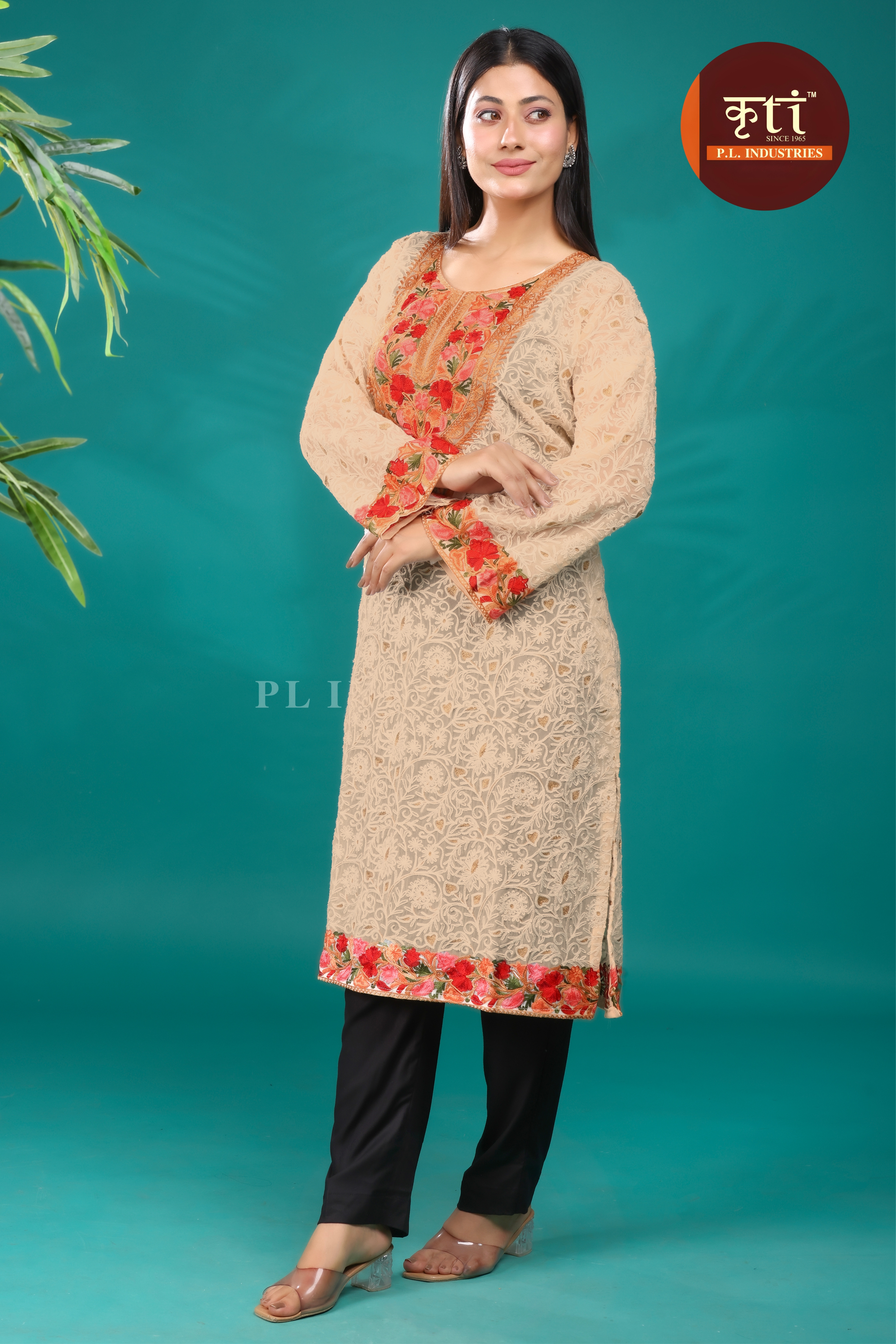 Kashmiri Embroidery Georgette Kurti - Beige