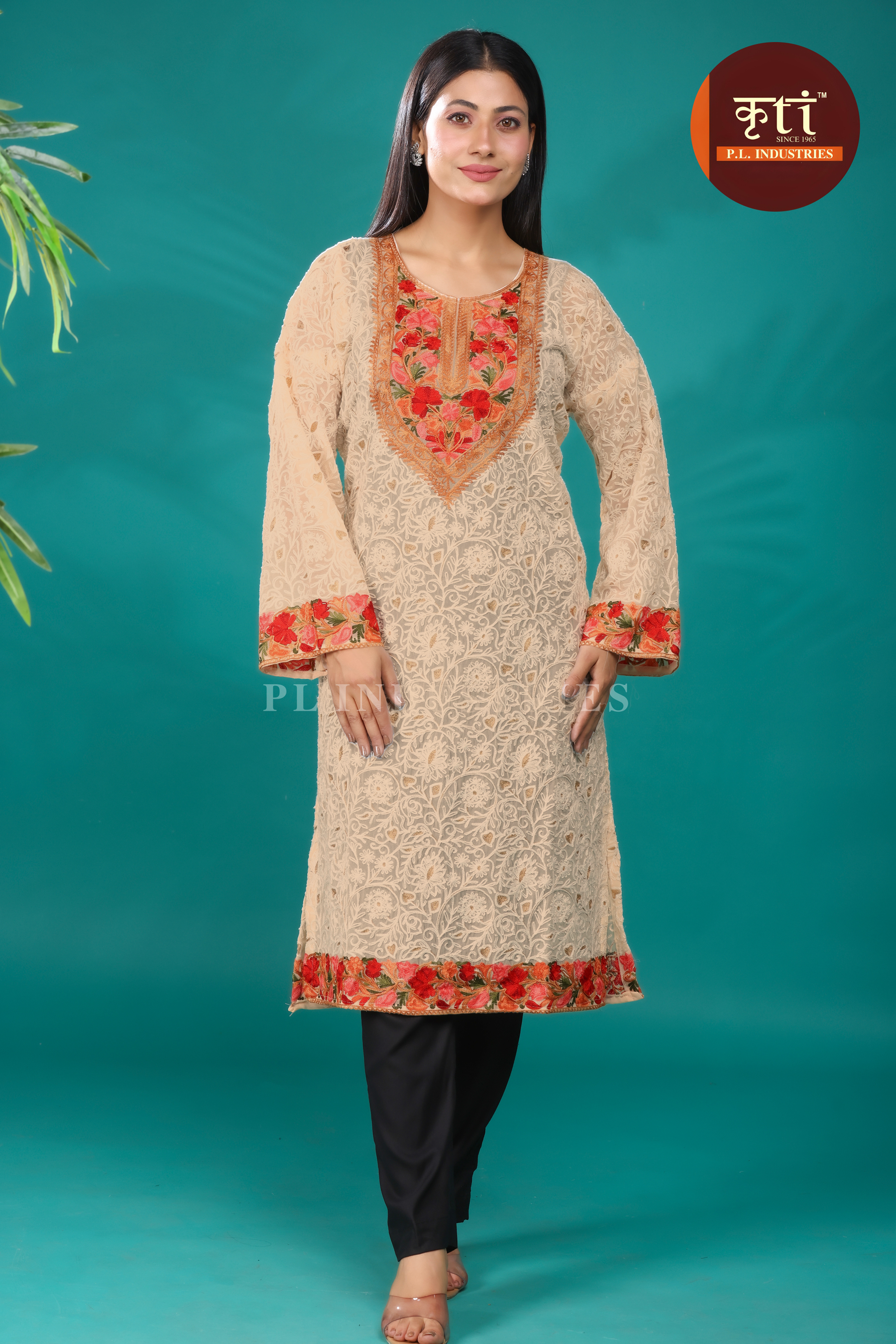 Kashmiri Embroidery Georgette Kurti - Beige
