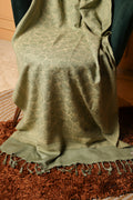 Winter woollen Chinar Patti design stole - Pista