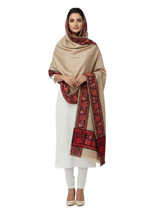 KRITI Border Design Woolen Camel Color Shawl for Women